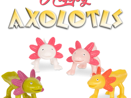 Happy Axolotl Supply