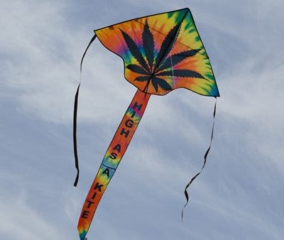 Kite High As A Kite Fly-Hi Cheap