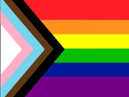 MAGNET Progress Pride Flag Sale