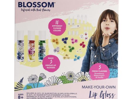 Make Your Own Lip Gloss Kit For Sale