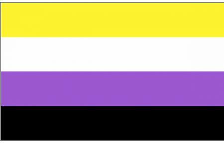 Non-Binary Flag 3 X 5 For Sale