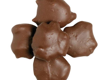 Pecan Caramel Clusters 8 oz Hot on Sale