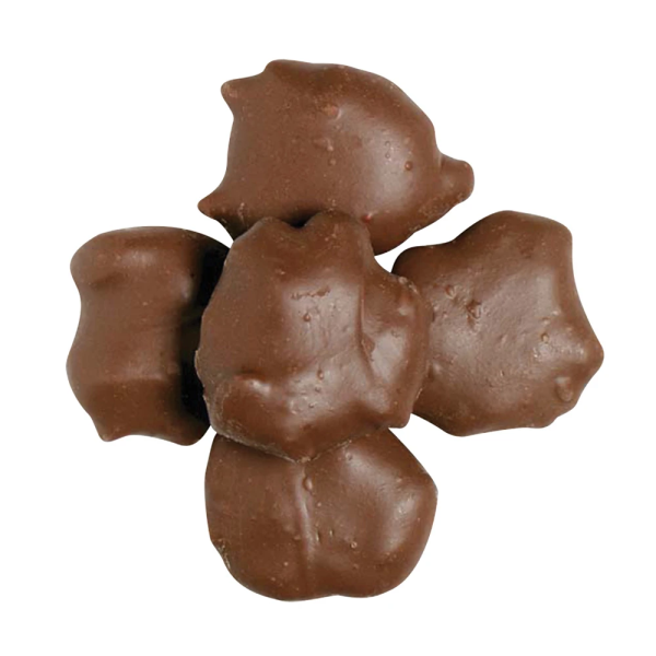 Pecan Caramel Clusters 8 oz Hot on Sale