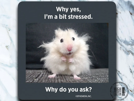 I m Stressed Why Do You Ask Hamster Coaster For Sale