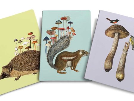 Fungi Collection Art Of Nature Set Of Three Sewn Notebooks Amy Ross Supply