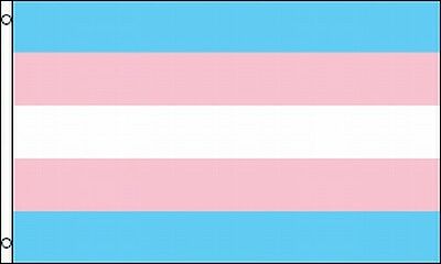 Transgender Flag 3 X 5 Online