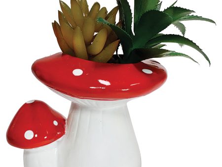 Mushroom Planter With Succulent For Cheap