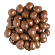 Chocolate Covered Peanuts 8 oz on Sale