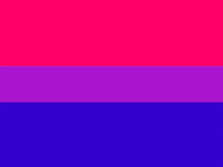 MAGNET Bisexual Flag Supply