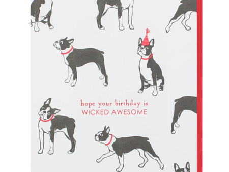 Card Boston Terrier Wicked Birthday Discount