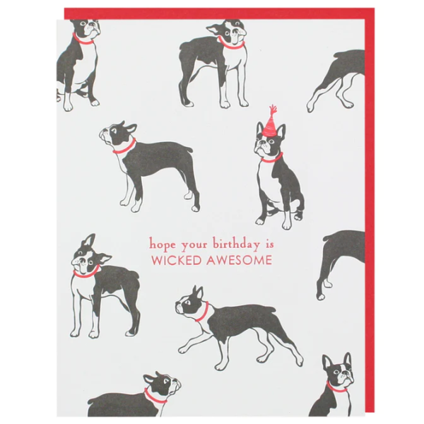 Card Boston Terrier Wicked Birthday Discount