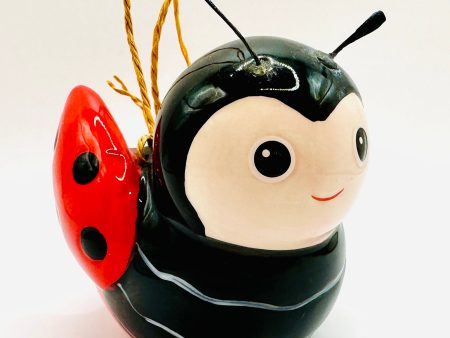 Mini Insect Hanging Planter on Sale