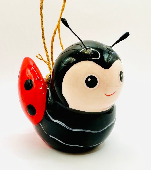 Mini Insect Hanging Planter on Sale