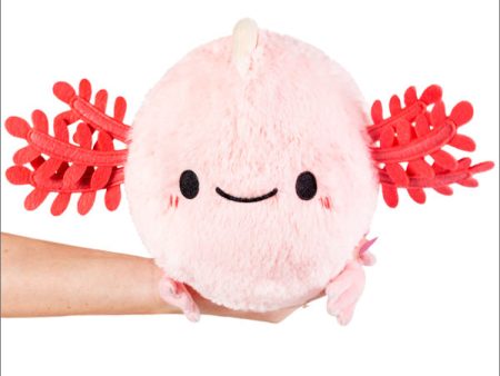 Mini Baby Axolotl Plush 8  Discount