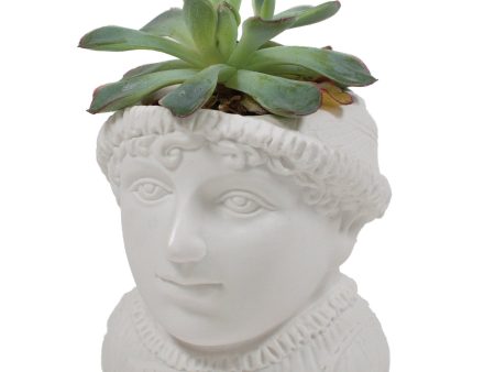 Jane Austen Planter Online Sale