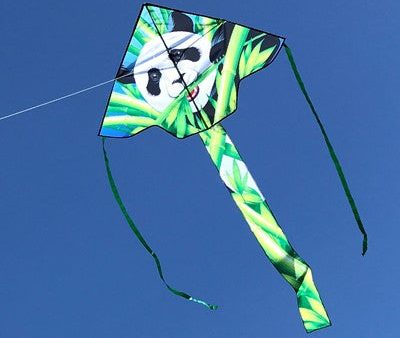 Panda Fly-Hi Kite For Cheap