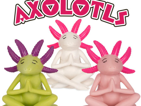 Meditating Axolotl Online now