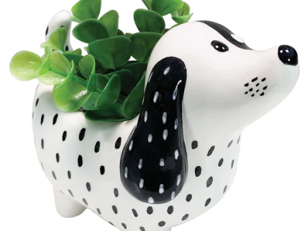 Spotted Dog Planter Pot Hot on Sale