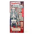 Anatomy Stamp Set on Sale