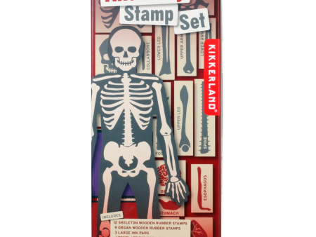 Anatomy Stamp Set on Sale