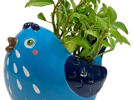 Bluebird Planter Pot For Cheap