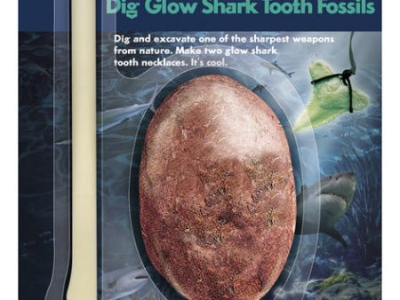 Artificial Shark Tooth Fossil Excavation Kit Online