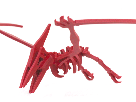 Slim Pterodactyl 3D Puzzle (Random Color) Online