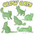 Glow Cat Sale