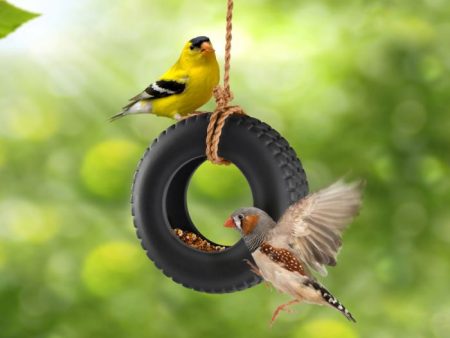 Swing Time Bird Feeder For Sale